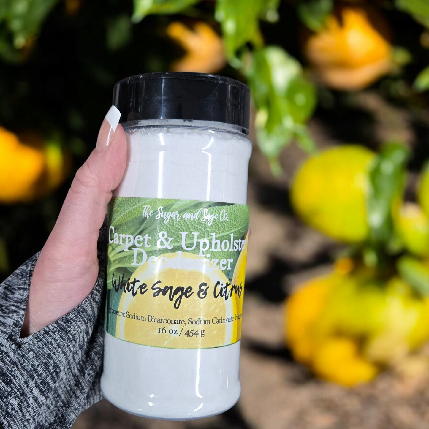 Carpet and Upholstery Deodorizer